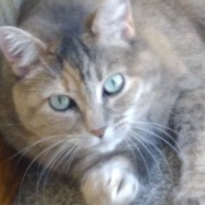 Meet your Posher, Vickie